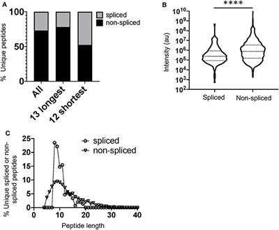 Elucidation of the Signatures of Proteasome-Catalyzed Peptide Splicing